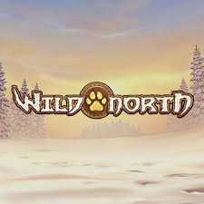 Wild North von Play'n GO – Erfahrungsbericht